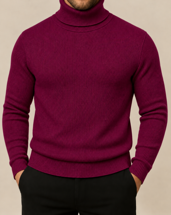 Premium Turtle Neck